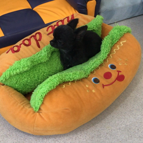 ♪プレイルーム動画♪①の画像