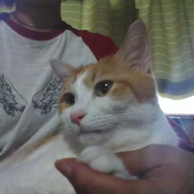 マッサージ(￣▽￣)の画像