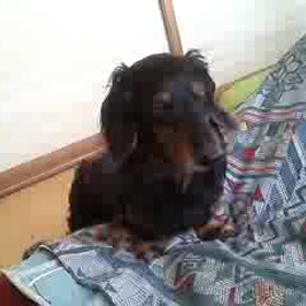 †ミステリアスBOY†の画像