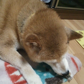 なめ魔。の画像