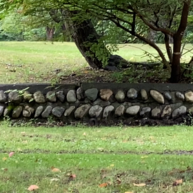 動いてるの〜見えるかな？の画像