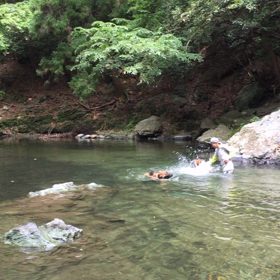 可愛い過ぎて過ぎて❤︎の画像