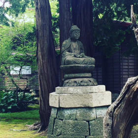 蝉の声と境内の画像