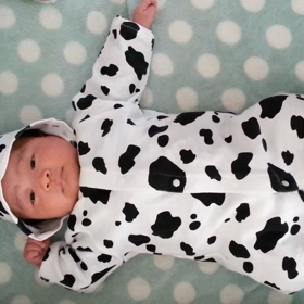 バタバタの画像