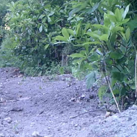 すぎぴたんの事件簿シーズン２　２５話の画像