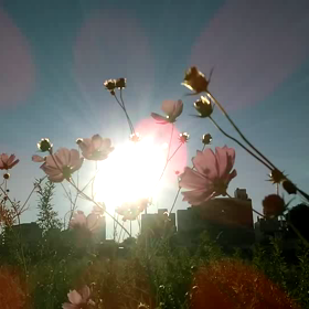 きっと皆それぞれ色々ある　そんなタイミングだよねの画像