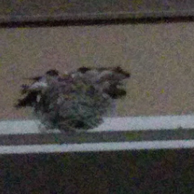 ひとやすみの画像