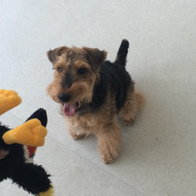 ♪プレイルーム動画♪の画像