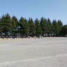 3/11学年別インターバル⑤の画像