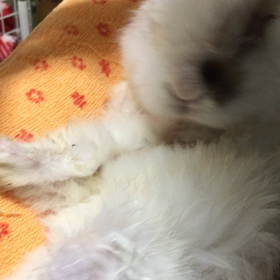 待ちきれない！part2の画像