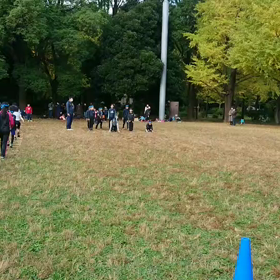 ダッシュ(緑チーム)⑧の画像