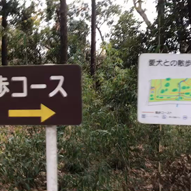 ♪お散歩動画♪砧公園♪の画像