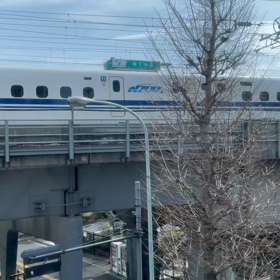 185系踊り子、惜別乗車の画像