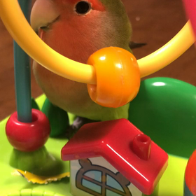 最近の我が家♡♡の画像