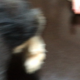 病院あるある？の画像