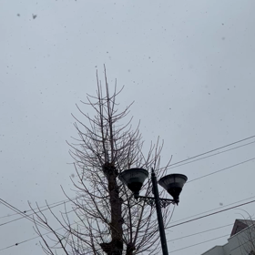 雪、さむ！の画像