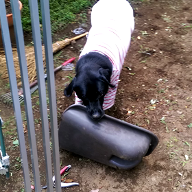 元気にしていますの画像