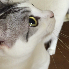 指で、誘ってみるの画像