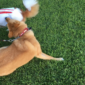 仲がいいの画像