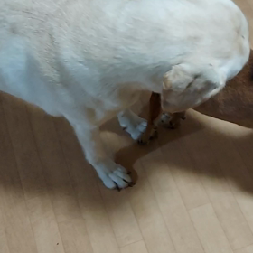 また来てねの画像