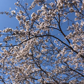 そうだった！連動してました!(^^)!　肩こりの解消は・・・の画像