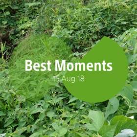 崖っぷちの草刈りの画像