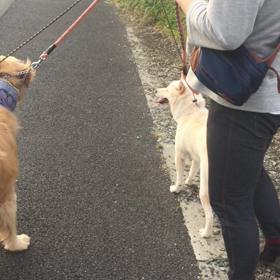 腑に落ちない事の画像