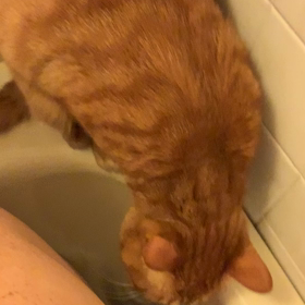 寒くなるとヤツが現れる‼️の画像