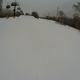 ほったらかし過ぎてアカンやろ❗の画像