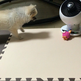 家電好きの画像