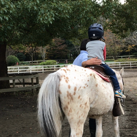 時間を超越するにはーの画像
