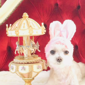 ハッピーイースターの画像