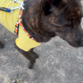 朝の友達の画像