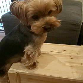 出来た☆の画像