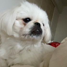 話題の映画の画像