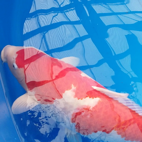 またまた、、の画像