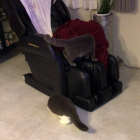 母が気になる娘達❤️の画像