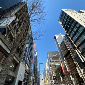 Shima散歩Tokyo日比谷〜銀座〜新橋一周散歩ver.4の画像