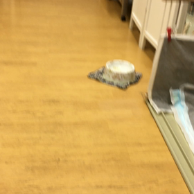 楽しそうだわ。の画像