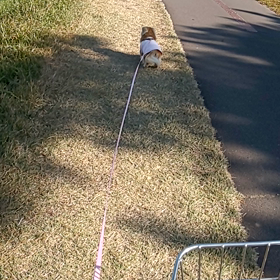 ナナ復活だ❗️の画像