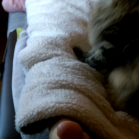 店長の気紛れの画像