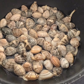 【動画】あさりの砂抜きの画像