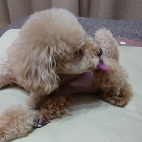 【今日から８月、夏本番！】の画像