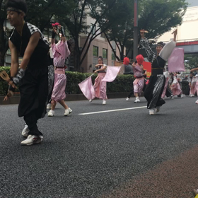 よさこいの画像