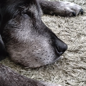 ひくひくの画像