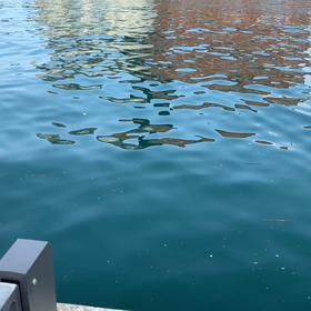 怒ってますの画像