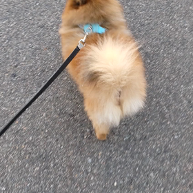 初雪☁❄❄⛄❄❄☁の画像