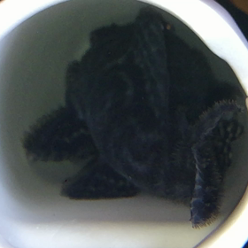 キターーー VOL２の画像