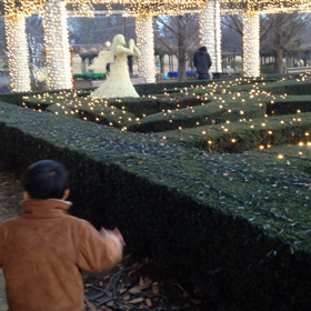 12月28日 笑顔を増やしたいの画像