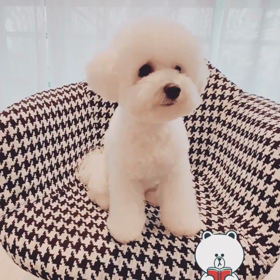 ■守る意識が人を強くするの画像